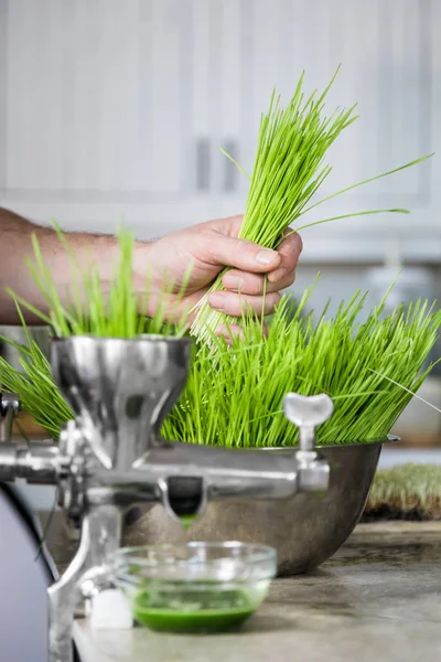 Extracción de hierba de trigo en acción en la encimera de la cocina —  Fotos de Stock
