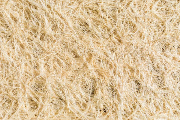 Wheatgrass 뿌리 텍스처 패턴 및 세부 정보 — 스톡 사진