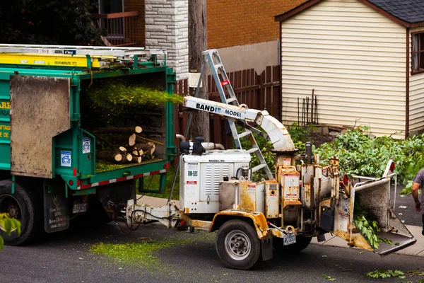 Машина для измельчения деревьев в действии — стоковое фото