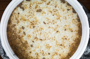 Maya Krausen bir demet 