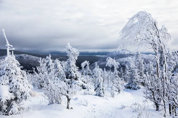 Зимний пейзаж с вершины горы в Канаде — стоковое фото