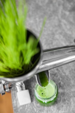 Mutfak tezgahından bir Juicer kullanarak eylem içinde buğday çimi