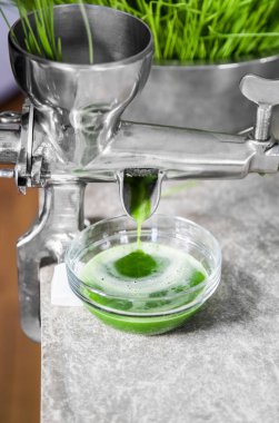 Mutfak tezgahından bir Juicer kullanarak eylem içinde buğday çimi