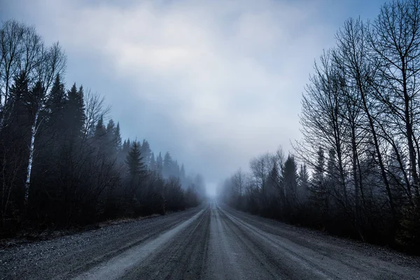 Dimma och dålig sikt på en väg i skogen — Stockfoto