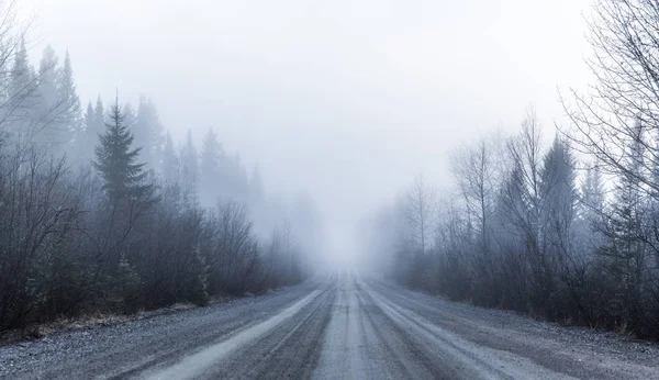 Dimma och dålig sikt på en väg i skogen — Stockfoto