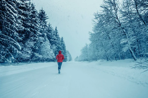Kış ormandaki kadın çalışan yalnız