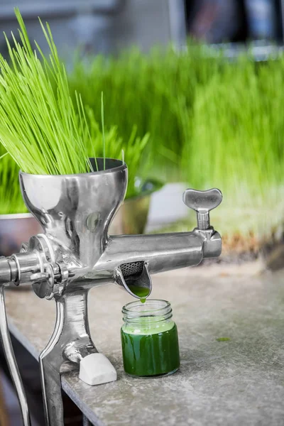 Wheatgrass in Action on the Kitchen Countertop using a Juicer — Stock Photo, Image