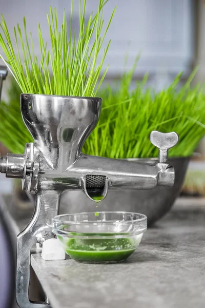 Wheatgrass in Action on the Kitchen Countertop using a Juicer — Stock Photo, Image