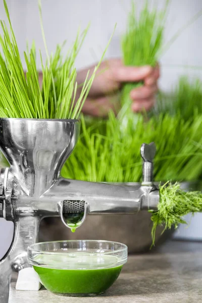 Weizengras in Aktion auf der Küchenarbeitsplatte mit einer Saftpresse — Stockfoto