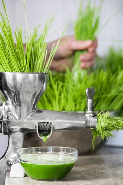 Hierba de trigo en acción en la encimera de la cocina con un exprimidor —  Fotos de Stock