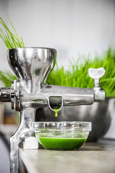 Wheatgrass in Action on the Kitchen Countertop using a Juicer — Stock Photo, Image