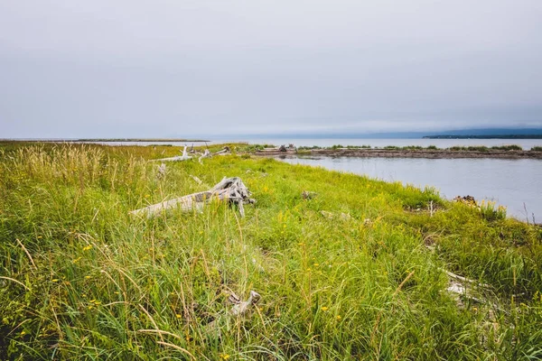 Vista Sul Prato Verde Pointe Taylor Bay New Richmond Quebec — Foto Stock