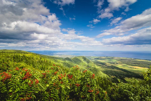 Панорамный Вид Вершины Горы Сент Джозеф Городе Карлтон Гасп Провинция — стоковое фото