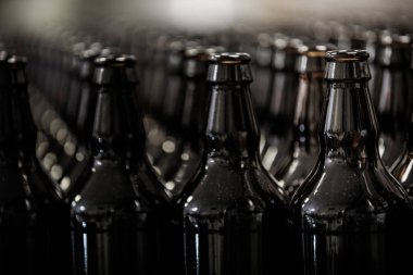 MICROBREWERY şişe satırları