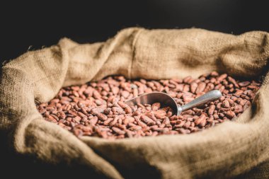 Tuval çanta ile ithal Close-Up kavrulmuş kakao çekirdekleri