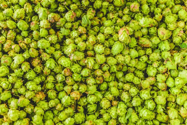 Gröna hop textur — Stockfoto