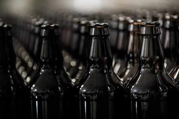 Rader av flaskor på mikrobryggeri — Stockfoto