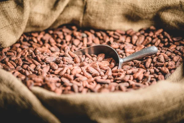 Närbild Canvas Väska Med Importerade Rostade Kakaobönor — Stockfoto