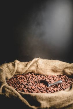Siyah arka plan üzerine lezzetli kavrulmuş kakao fasulyeli tuval çanta.