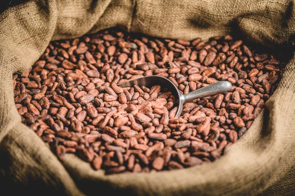 Close Van Canvas Tas Met Geïmporteerde Geroosterde Cacao Bonen — Stockfoto