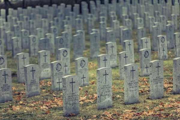 モントリオール カナダ 2017 ロイヤル カナダ連隊および最初の世界大戦 秋の冷たい曇り夜の間に 1914 1919年モントリオール マウントロイヤル墓地 — ストック写真