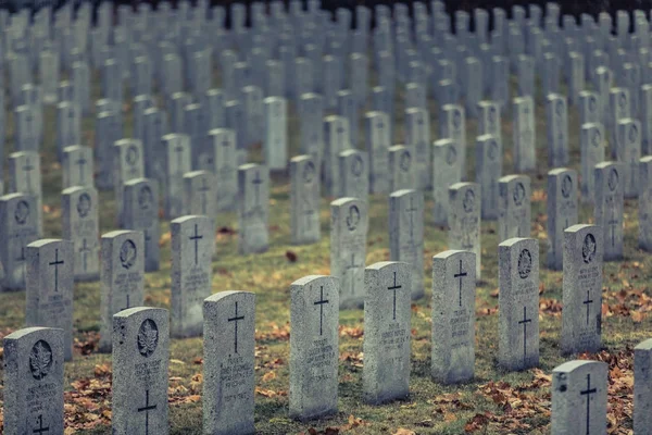 Montreal Canadá Noviembre 2017 Regimiento Real Canadiense Primera Guerra Mundial — Foto de Stock