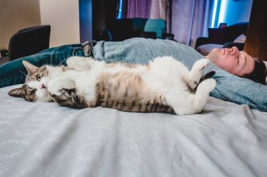 Adam yatakta sırt üstünde her ikisi ile bir kedi dinlenme