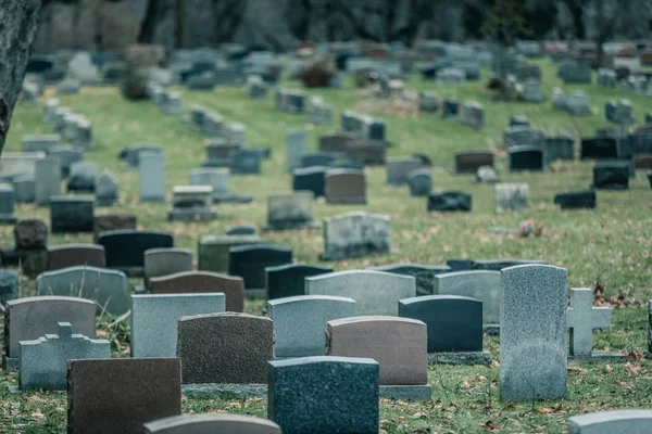 Voltar de Gravestones em um Cemitério Velho no Outono — Fotografia de Stock