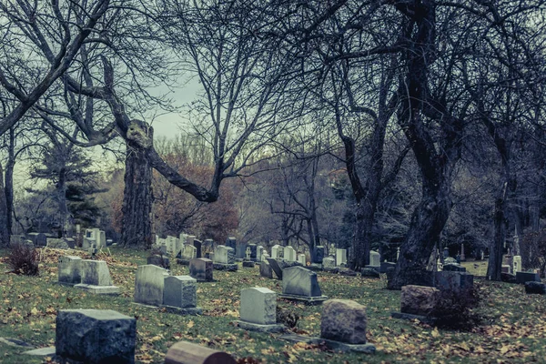 Back Gravestones Old Cemetery Cold Day Autumn — Stock Photo, Image