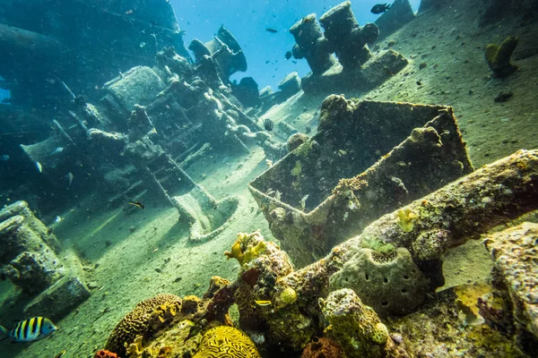 View Shipwreck Underwater Depth Caribbean — Stock Photo, Image