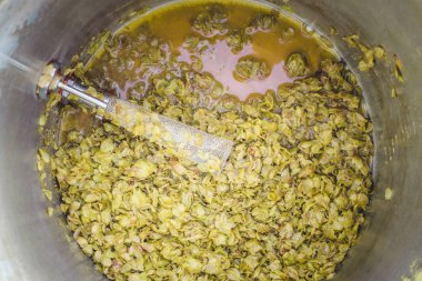 Chinook Hop koniler kalan, bazuka filtre ve termometre sonda bir paslanmaz çelik Homebrewer su ısıtıcısı bir IPA Homebrew gün sonra