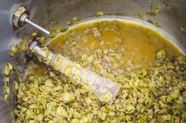 Chinook Hop koniler kalan, bazuka filtre ve termometre sonda bir paslanmaz çelik Homebrewer su ısıtıcısı bir IPA Homebrew gün sonra