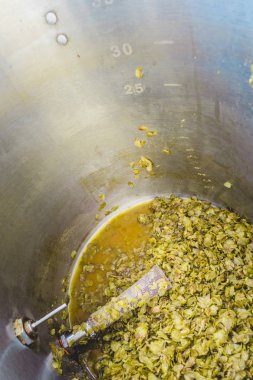 Chinook Hop koniler kalan, bazuka filtre ve termometre sonda bir paslanmaz çelik Homebrewer su ısıtıcısı bir IPA Homebrew gün sonra