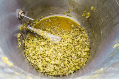 Chinook Hop koniler kalan, bazuka filtre ve termometre sonda bir paslanmaz çelik Homebrewer su ısıtıcısı bir IPA Homebrew gün sonra