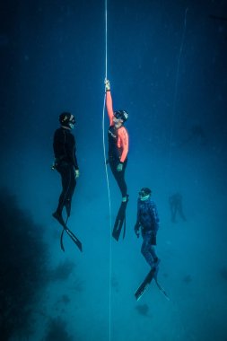 San Andres Adası, Kolombiya - Mart 2017 yaklaşık: Freediver ve Emanet dalgıç dalış ve aşağıdaki Life Line derin mavi San Andres Adası, Kolombiya ne zaman istersen.