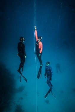SAN ANDRES ISLAND, Colombia - Circa March 2017: Freediver and his Safety Diver Diving and Following the Life Line at all time in the Deep Blue of San Andres Island, Colombia. clipart