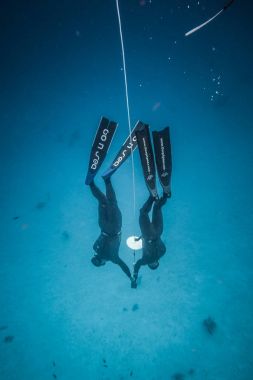 San Andres Adası, Kolombiya - Mart 2017 yaklaşık: Freediver ve Emanet dalgıç dalış ve aşağıdaki Life Line derin mavi San Andres Adası, Kolombiya ne zaman istersen.
