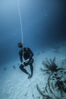San Andres Adası, Kolombiya - Mart 2017 yaklaşık: Yolun sonundaki Freediver arıyorsunuz, mercan ve bir umutla yapıyor