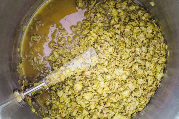 Fennmaradó Chinook Komlótobozok Páncélököl Szűrő Hőmérő Szonda Ipa Homebrew Nap — Stock Fotó