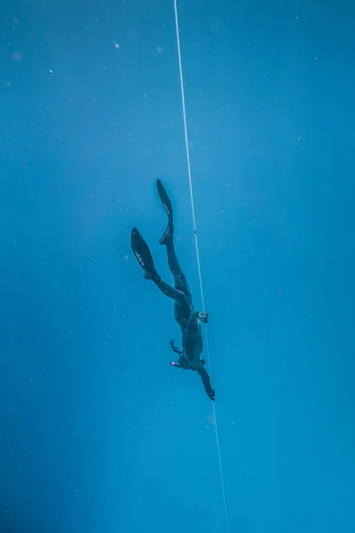 サンアン ドレス島 コロンビア 2017 フリーダイバー ダイビング 次ライフ ラインは すべての深い青のサン アンドレス島 — ストック写真