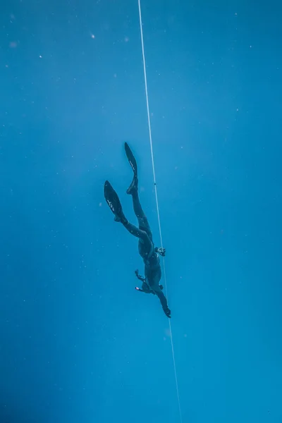 San Andres Island Colombia Circa March 2017 Freediver Diving Life — Stock Photo, Image