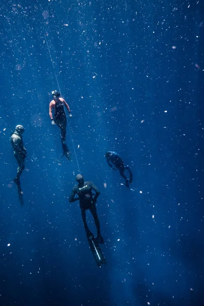 San Andres Island Kolumbia Około Marca 2017 Freediver Jego Bezpieczeństwa — Zdjęcie stockowe