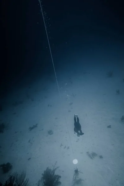 San Andres Island Kolumbia Około Marca 2017 Freediver Nurkowanie Następujących — Zdjęcie stockowe