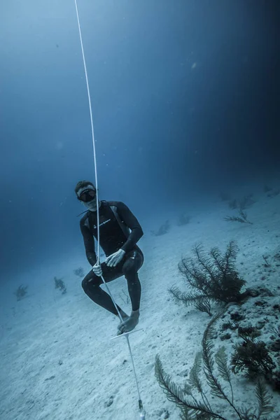 哥伦比亚的圣安德斯岛 2017年3月 Freediver 在线的底部看着珊瑚 做着呼吸 — 图库照片