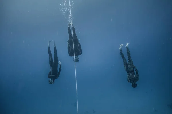 哥伦比亚的圣安德斯岛 2017年3月 Freediver 和他的安全潜水员潜水 并一直跟随生命线在深蓝色的圣安德斯岛 哥伦比亚 — 图库照片