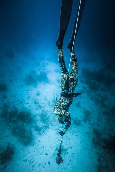 San Andres Island Kolumbia Około Marca 2017 Freediver Nurkowanie Następujących — Zdjęcie stockowe