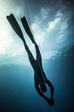 San Andres Adası, Kolombiya - Mart 2017 yaklaşık: Freediver dalış ve aşağıdaki Life Line derin mavi San Andres Adası, Kolombiya ne zaman istersen.