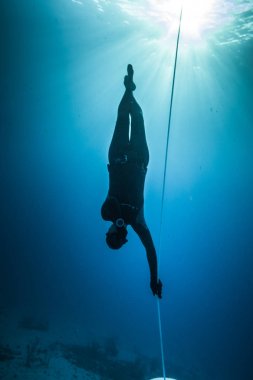 San Andres Adası, Kolombiya - Mart 2017 yaklaşık: Freediver dalış ve aşağıdaki Life Line derin mavi San Andres Adası, Kolombiya ne zaman istersen.