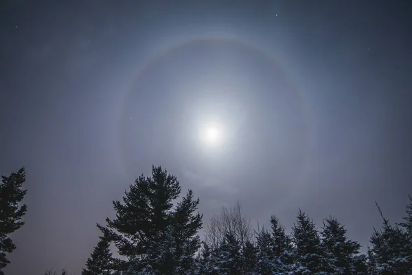 Moon Halo in Wild Forest during Winter