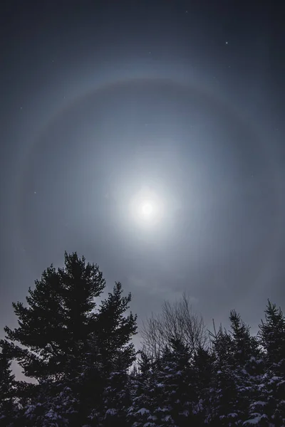 Halo lunar en bosque salvaje durante el invierno — Foto de Stock